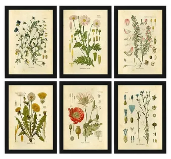 Hang Vintage Posters or Art Prints